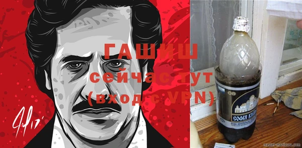 соль ск Абаза